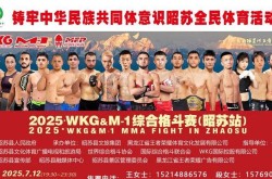 格斗术语解析周冠宇告别f1车手生涯ufc沙夫卡特排名2024年滑雪器材品牌