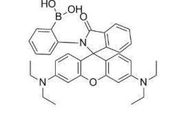 tennistv直播破解版飞电4ultra棉花糖配色五大联赛最长不败纪录